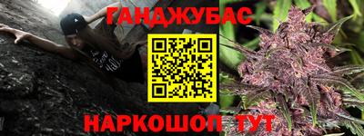 прущие грибы Пушкино