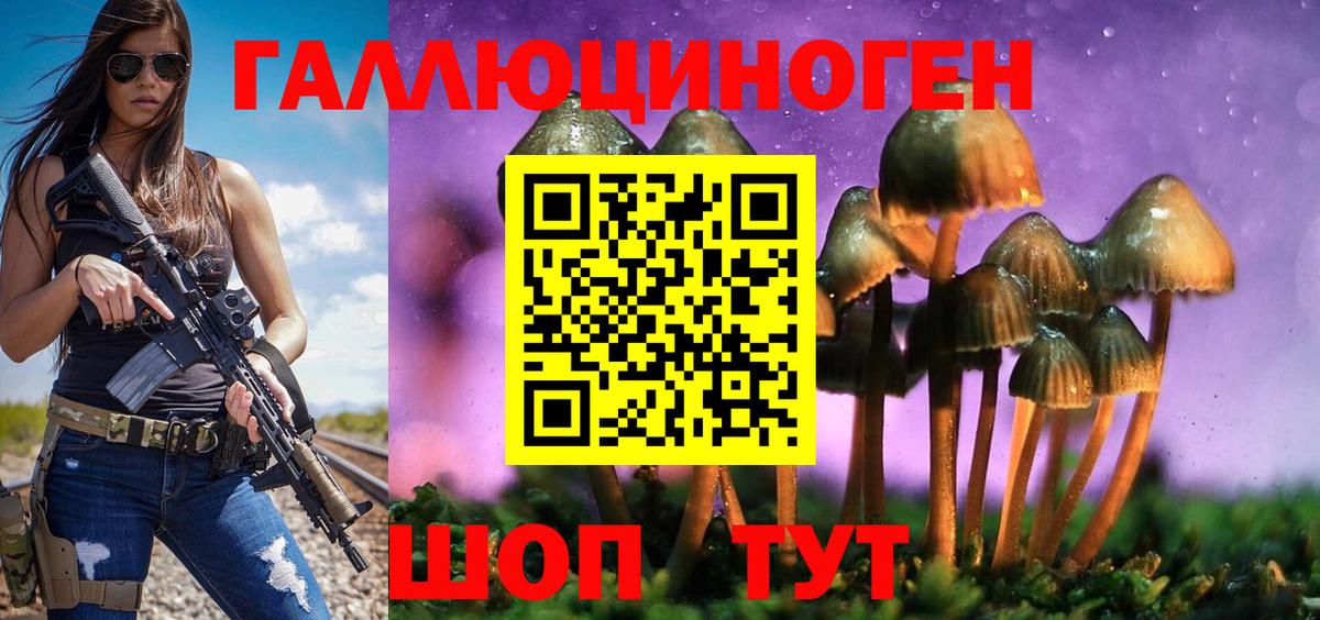 Псилоцибиновые грибы Psilocybine cubensis Урай